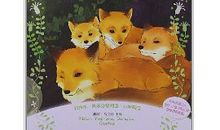 西顿野生动物故事集读后感