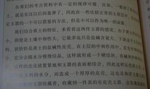 写游记的作文400字