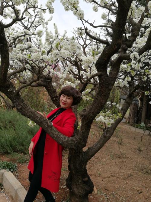 经典语录：只要心清晰，人生就不会下雨