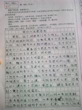 一路风景600字