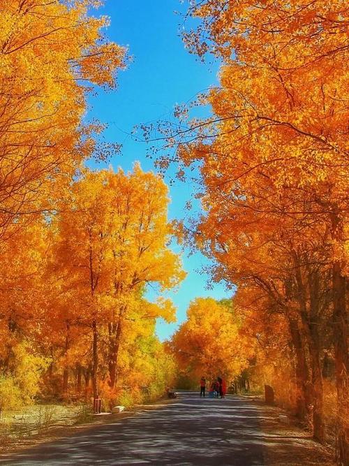 你是一个风景构图