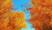 你就是一道风景作文