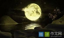 和太阳聊聊天作文