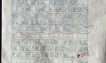 未来的汽车小学作文