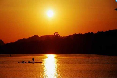 不同种类的景观组成