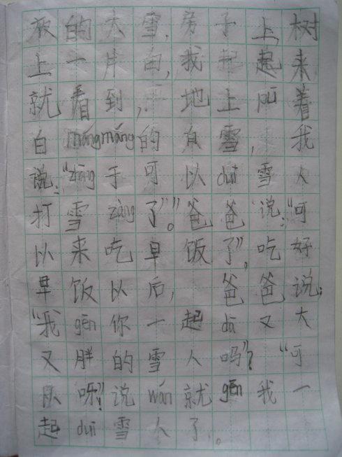 二级小雪花组成