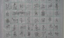 二年级小雪花作文