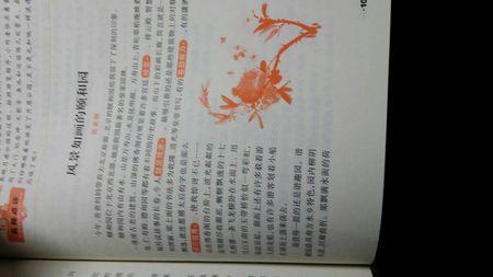 最美的风景构图800字