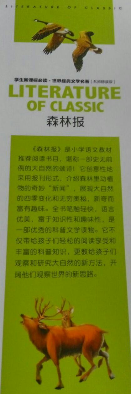 关于阅读《森林新闻》的思考