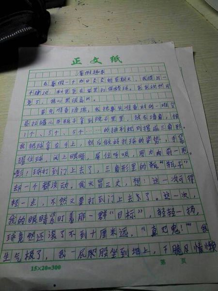 家庭娱乐随笔400字