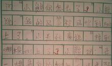 放风筝初中作文500字