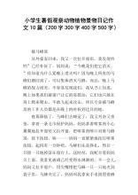 小学生景观构成