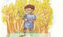 读木偶奇遇记读后感