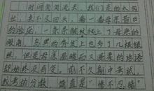 我的校园作文500字