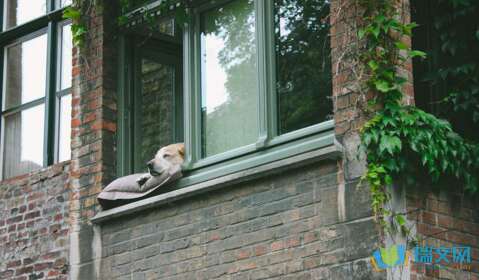 窗外的景观构图