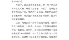 我眼中的风景作文