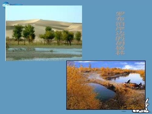 罗布泊，看完后消失的仙女湖