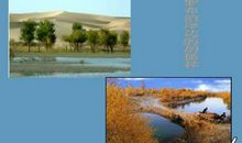 罗布泊，消逝的仙湖读后感