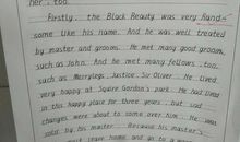 英语小说读后感