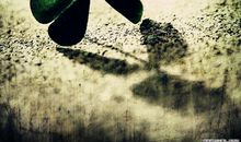 谎言三叶草读后感