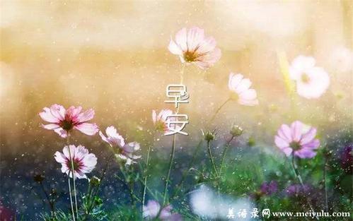 早安信息：幸福不是终点，而是旅程的方式