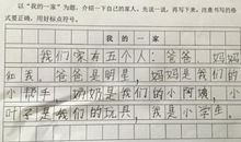 做家务的作文200字