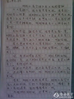 自然构成的启发