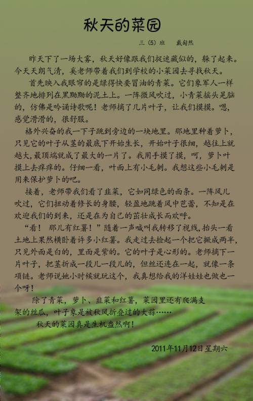 关于听力的作文