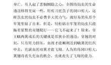 关于大自然的启示的作文