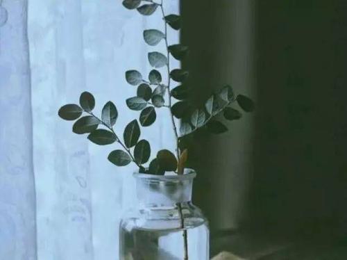 “读者”：小姐