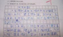 描写月夜的作文