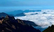 最感兴趣的一件事