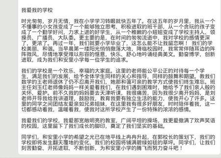 我的校园梦作文