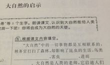 关于来自大自然的启示的作文