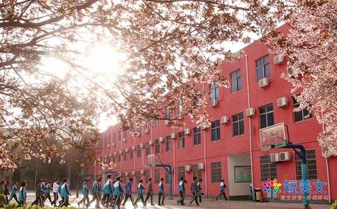 关于阅读《家》的思考