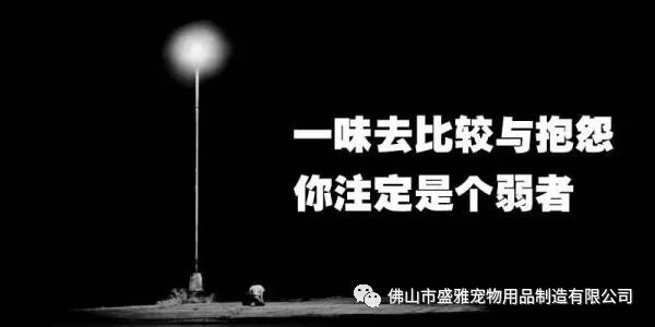 抱怨比阅读后改变感觉更糟糕