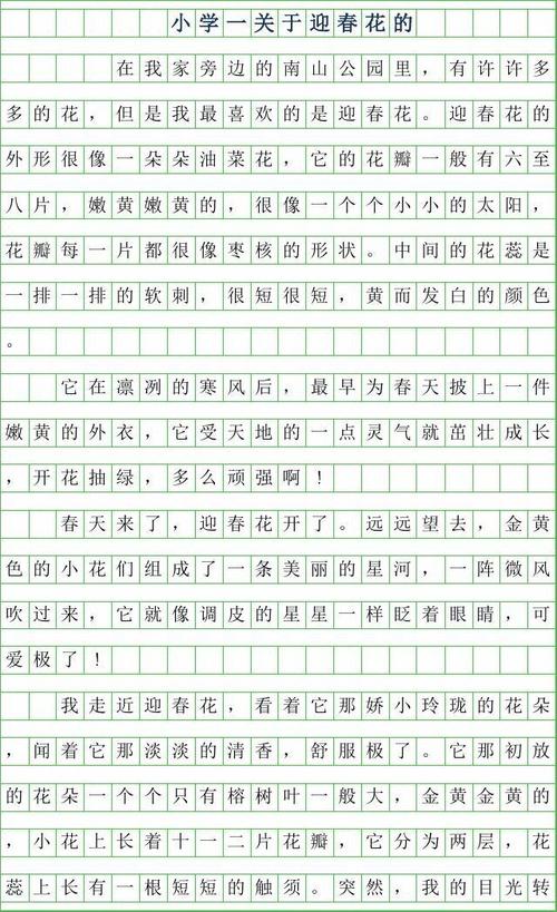 冬季茉莉花组成400字