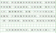 迎春花作文400字
