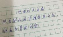 当国旗升起时作文