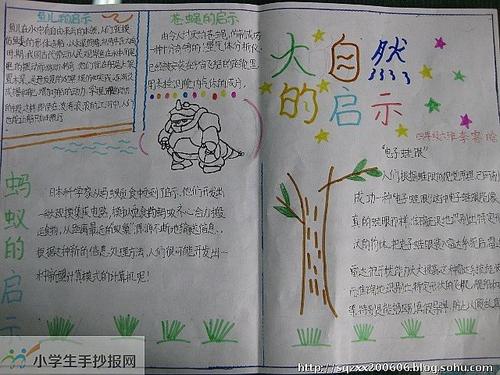 自然对小学作文的启示