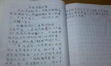 中秋节的见闻作文