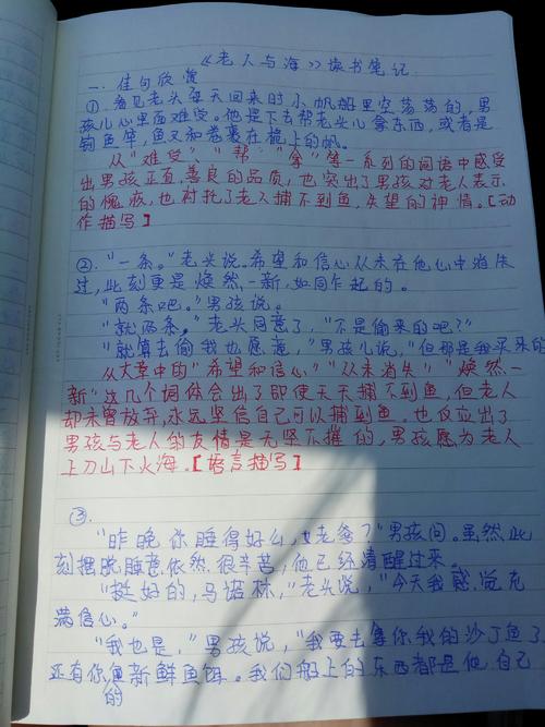 500字老人及其阅读后的思想