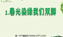 春光染绿我们的双脚读后感