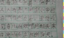 我的校园我的家作文