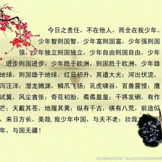 青年中国的思想