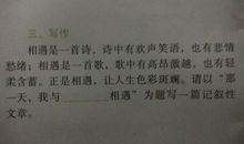 那一天阳光好温暖作文