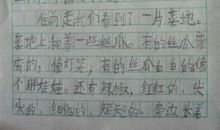 美在我心中作文