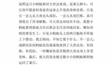 写一件事给你的启示