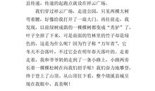 以寒假为主题的作文