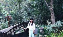 游张家界作文600字